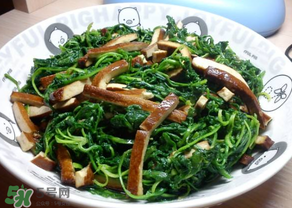 薺菜吃多了會中毒嗎？吃薺菜中毒怎么辦？