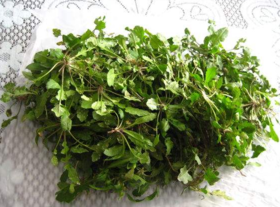 野生薺菜幾月份有？野生薺菜什么時候有？