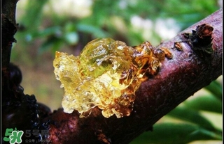 吃什么對皮膚好？怎么吃皮膚好？