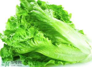 春天能種生菜嗎？生菜春天可以種嗎？