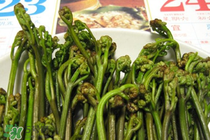 蕨菜為什么苦？蕨菜苦是怎么回事？
