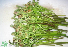 蕨菜怎么去苦味？蕨菜怎么做不苦？