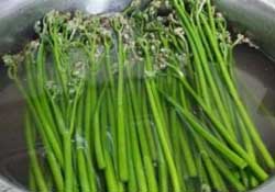 蕨菜怎么洗？蕨菜怎么清洗才干凈？