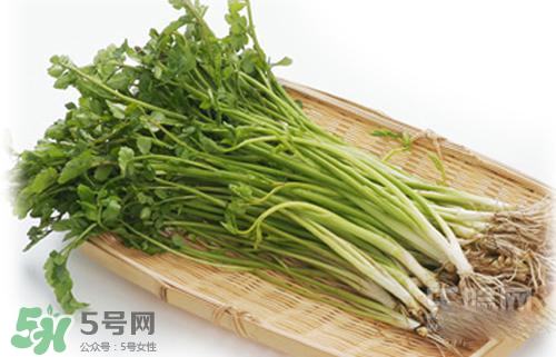 吃野芹菜會(huì)中毒嗎？吃野芹菜中毒了怎么辦？