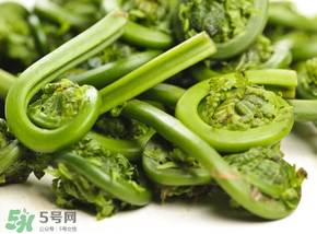 蕨菜怎么洗？蕨菜怎么清洗才干凈？