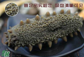 春天能吃海參嗎？春天吃海參效果好嗎？