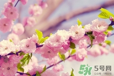 春天容易得水痘嗎？春天是水痘的高發(fā)季節(jié)嗎？