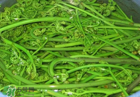 蕨菜怎么洗？蕨菜怎么清洗才干凈？