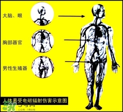 防輻射服什么時候開始穿？防輻射服真的有用嗎？