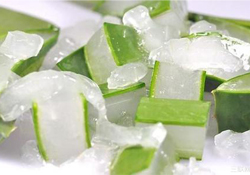 出水痘能用蘆薈膠嗎？水痘破了能擦蘆薈膠嗎？