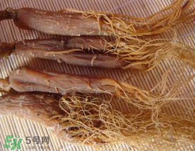 春天能吃紅參嗎？春天可以吃紅參嗎？
