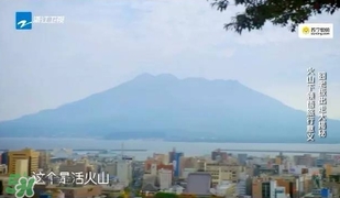 明治膠原蛋白粉怎么吃？明治膠原蛋白粉用法用量