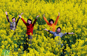 四月份還有油菜花嗎？4月份還有油菜花嗎？