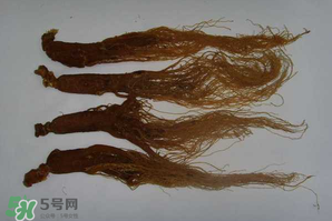 紅參可以天天吃嗎？紅參的功效與作用