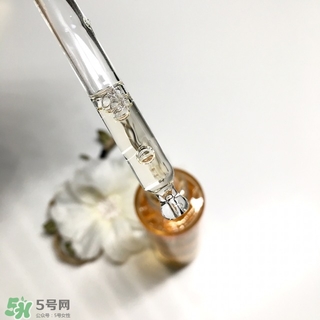 嬌蘭黃金蜜原蜜怎么用？嬌蘭黃金蜜原蜜使用方法
