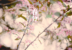 春分是春天的開始嗎？春分是春天來(lái)的意思嗎？