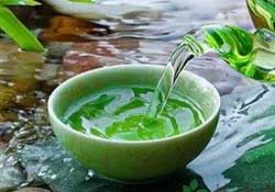 清明茶什么時候采？采清明茶什么時候結(jié)束？