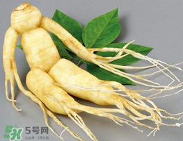 春天能吃高麗參嗎？春天可以喝高麗參湯嗎？
