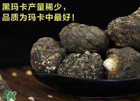 春天能吃瑪卡嗎？女人春天能吃瑪卡嗎？