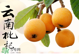 枇杷能放冰箱嗎？枇杷可以放冰箱保存嗎？