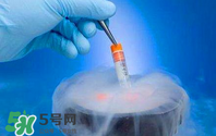 凍卵是什么？凍卵子需要多少錢？
