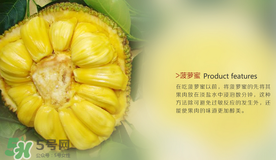 菠蘿蜜和榴蓮的區(qū)別 菠蘿蜜和榴蓮哪個(gè)好吃？