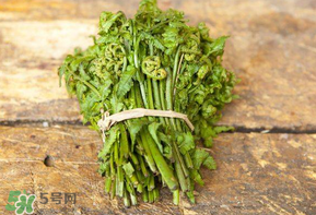 糖尿病能吃蕨菜嗎？糖尿病可以吃蕨菜嗎？