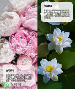 羽西丁一晨限定護(hù)膚品多少錢？羽西丁一晨限定價格