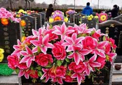 清明不過社是什么意思？清明不過社的社是哪天？