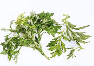 艾草可以治痛經嗎？艾草能治月經不調嗎？