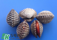 泥蚶怎么讀？泥蚶做法