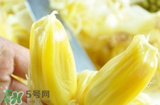 菠蘿蜜怎么吃？菠蘿蜜好吃嗎？