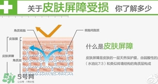 玉澤和至本哪個好？玉澤和至本區(qū)別對比