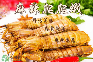 枇杷可以和海鮮能一起吃嗎？枇杷和海鮮一起吃吃好嗎？