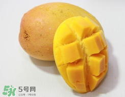 芒果什么季節(jié)成熟？芒果什么時(shí)候上市？