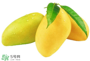 芒果哪里的最好吃？芒果哪種品種好吃？