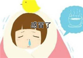 為什么總是感冒？總是感冒怎么回事？
