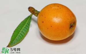 枇杷可以和蔥一起煮嗎？蔥和枇杷葉一起煮可以喝嗎？