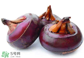 枇杷可以和荸薺一起煮水嗎？枇杷和荸薺能一起吃嗎？