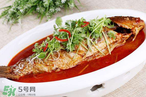 枇杷和魚能一起吃嗎？吃完魚可以吃枇杷嗎？