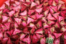 3月份的菱角可以吃嗎？菱角什么時(shí)候吃最好？