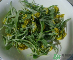清明草怎么吃？清明草怎么做好吃？