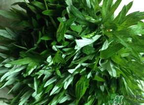 清明草是艾草嗎？清明菜是什么草？
