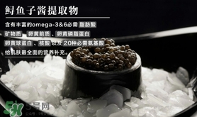 至本是什么牌子？至本什么檔次？