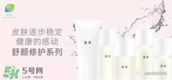至本是什么牌子？至本什么檔次？