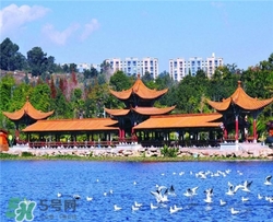 4月份去昆明穿什么？四月份去昆明穿什么衣服？
