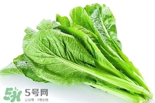 春菜為什么會苦？春菜發(fā)苦能吃嗎？