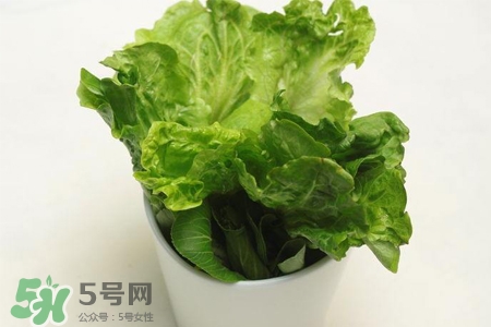 春菜為什么會苦？春菜發(fā)苦能吃嗎？