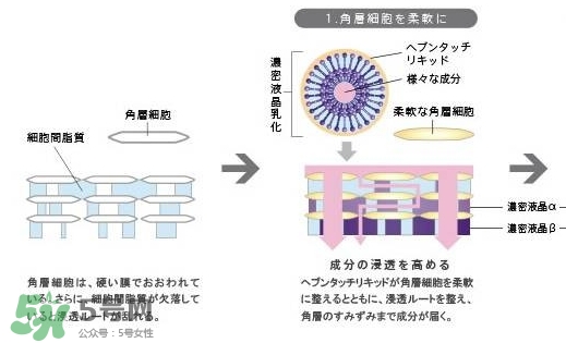 pola極光精華怎么用？pola極光精華使用方法