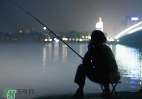 春分能夜釣嗎？春分能釣鯉魚嗎？